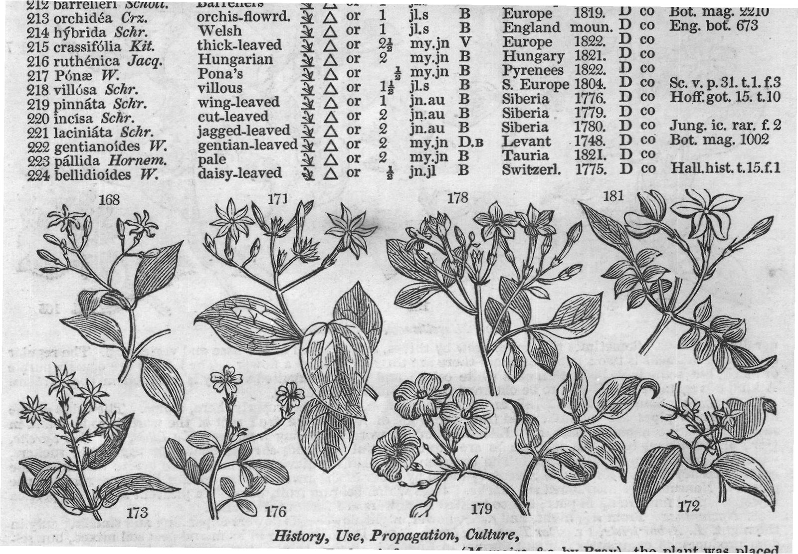 History, Use, Propagation, Culture,
