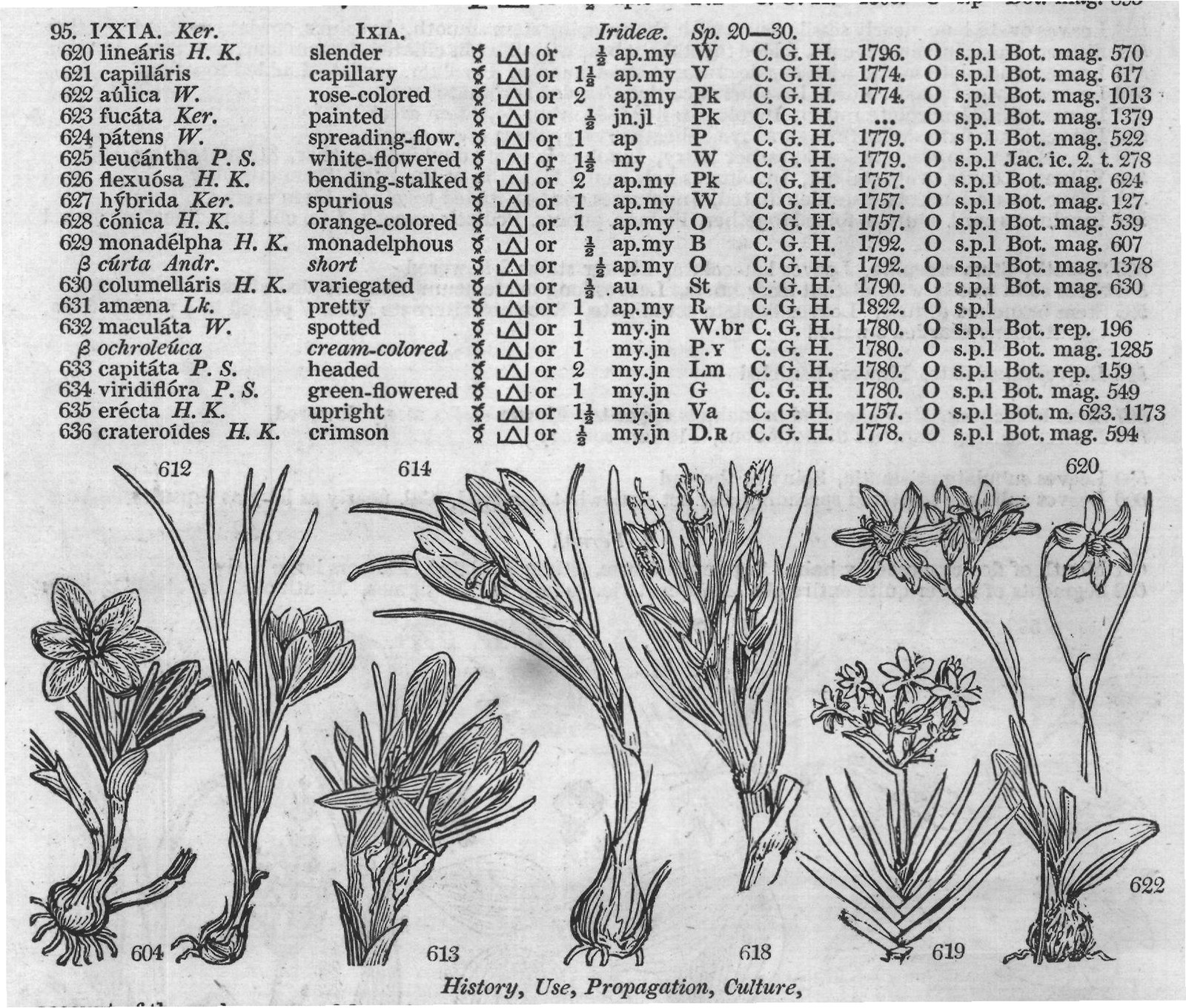 Col (Ecph t Mor h t f History Use) — from Encyclopedia of Plants (1910)
