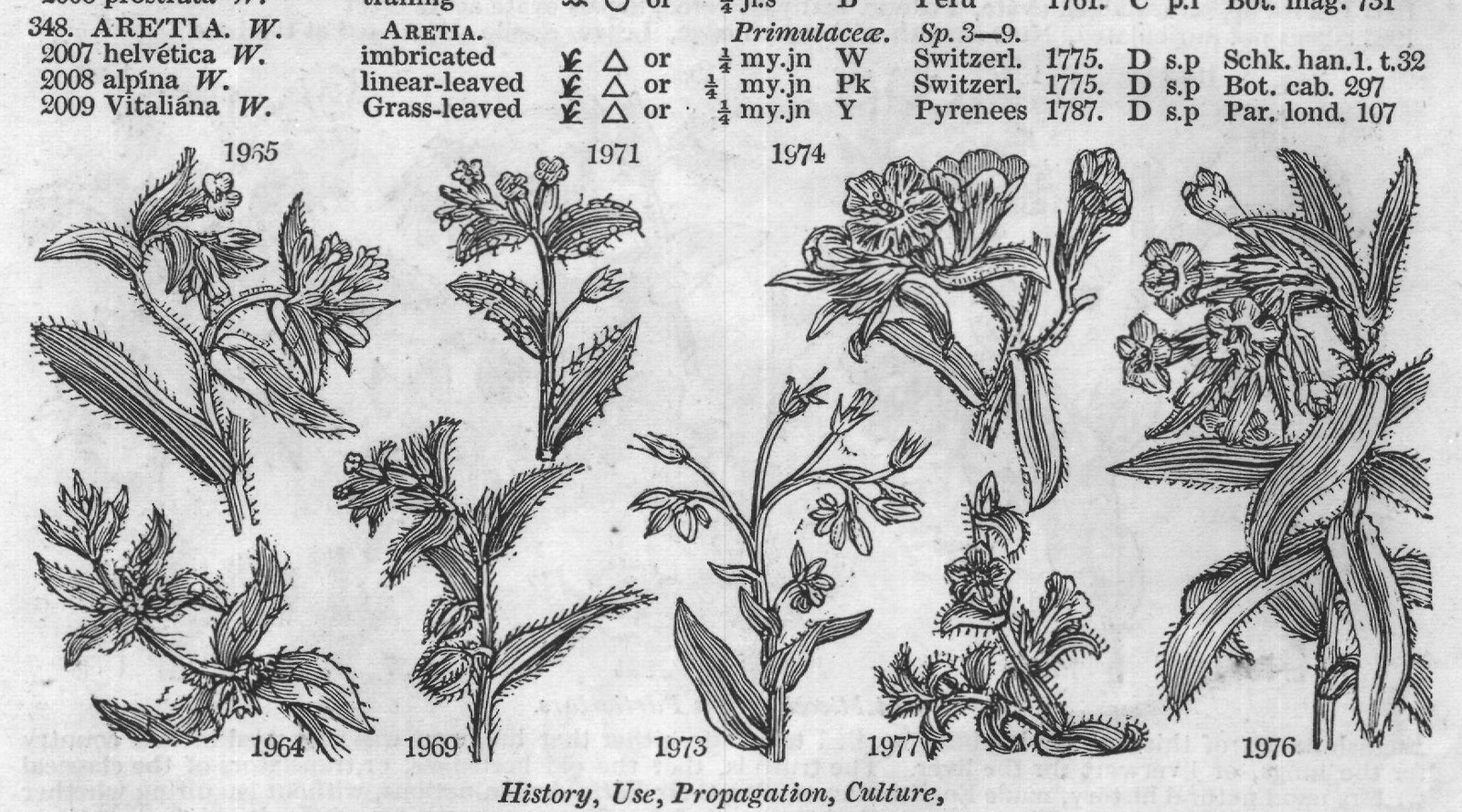History, Use, Propagation, Culture,