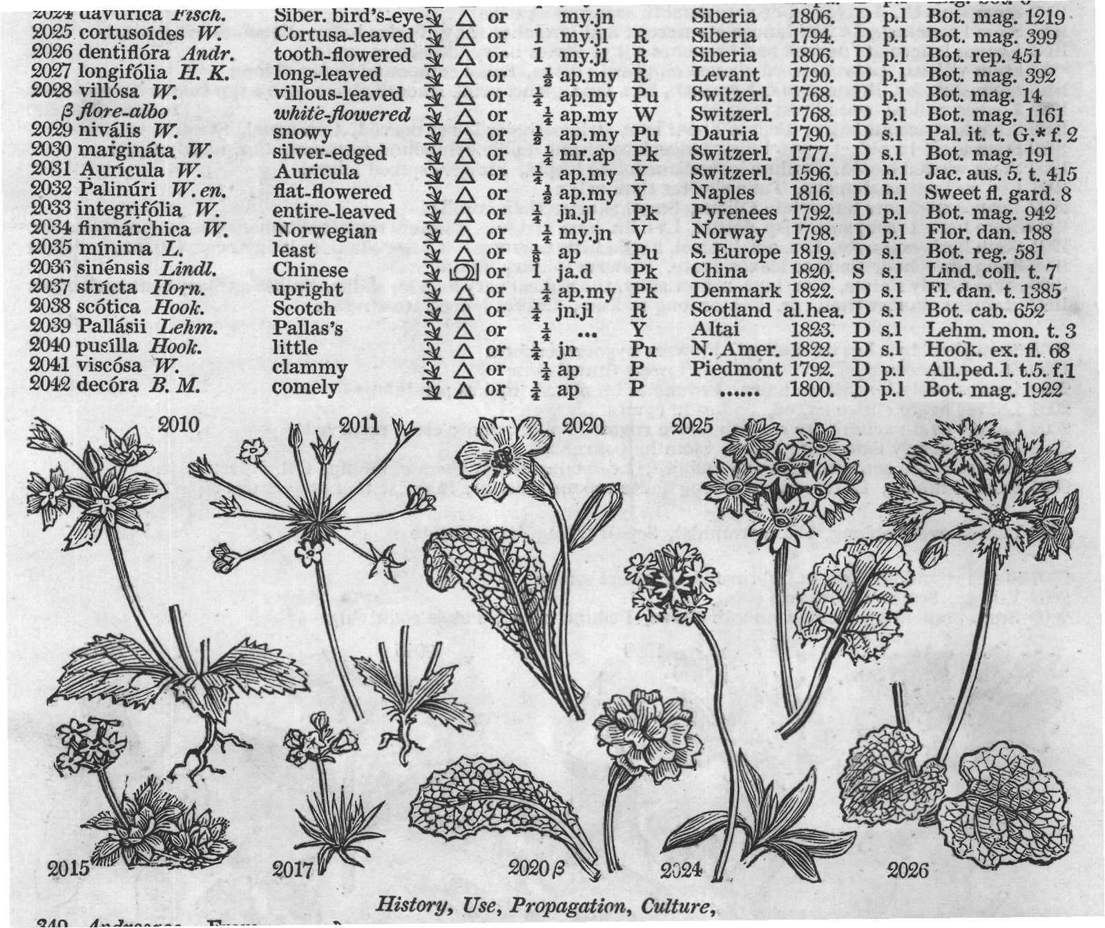 History, Use, Propagation, Culture,