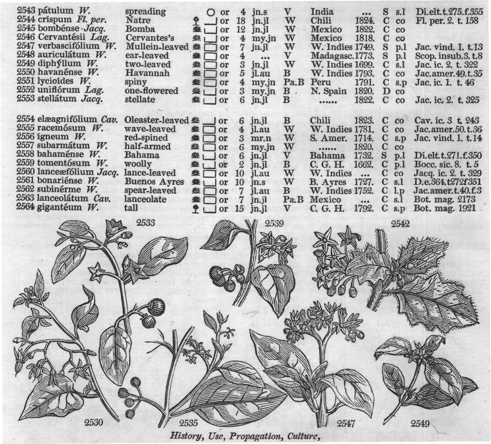 Dun — from Encyclopedia of Plants (1910)