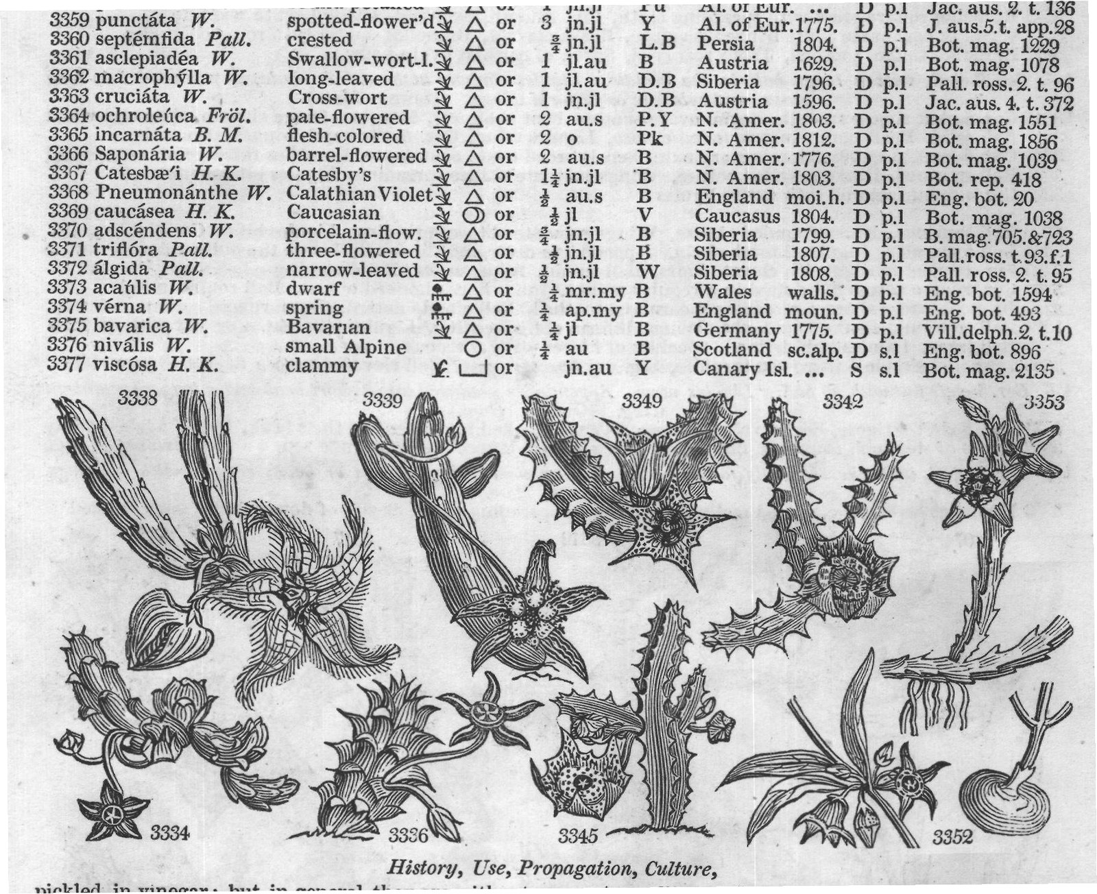 History, Use, Propagation, Culture,