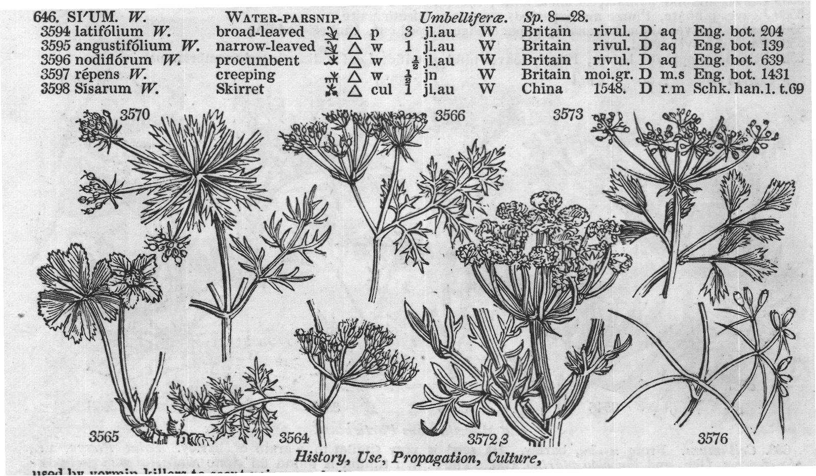 Eng – Eng (II) — from Encyclopedia of Plants (1910)