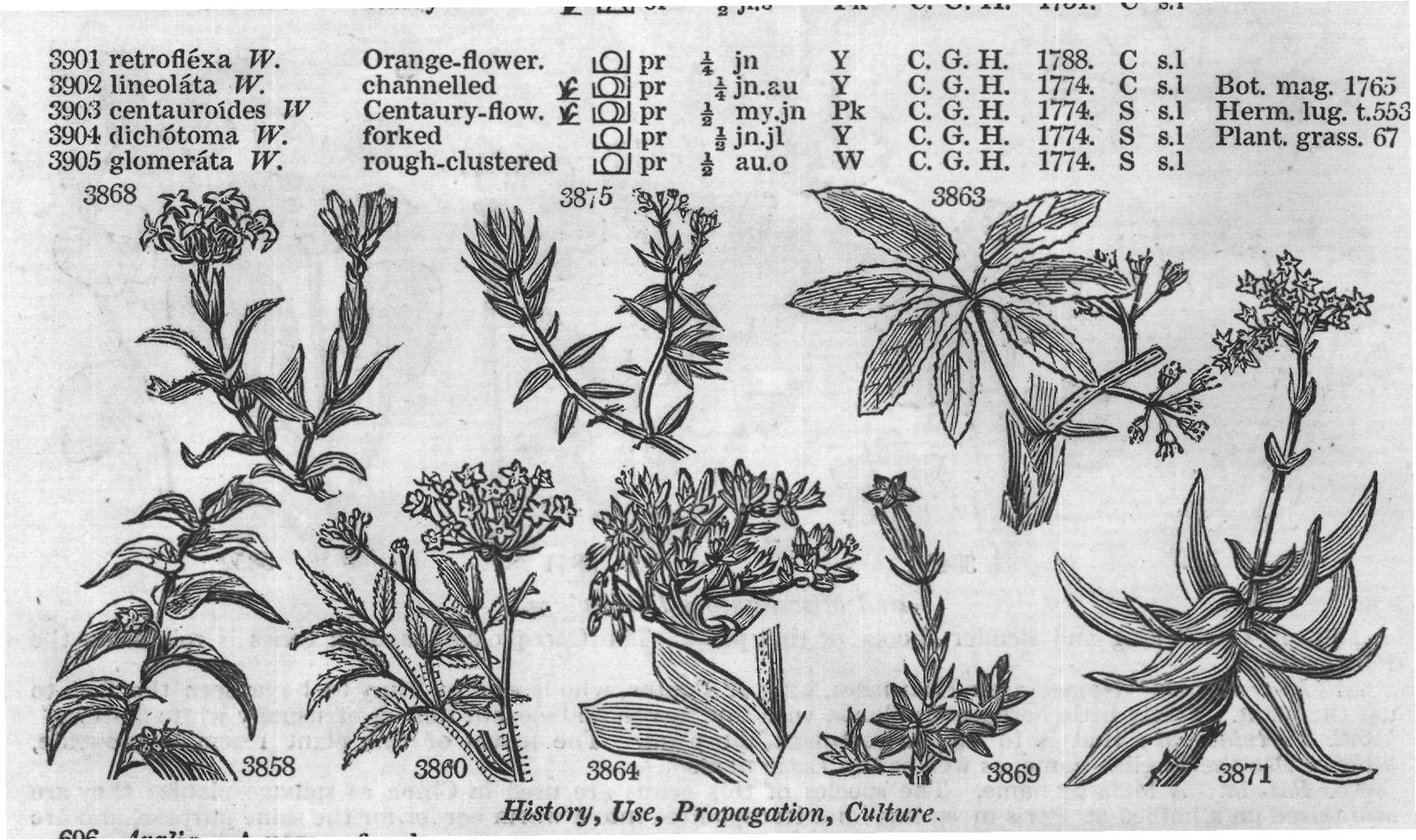 Vent — from Encyclopedia of Plants (1910)