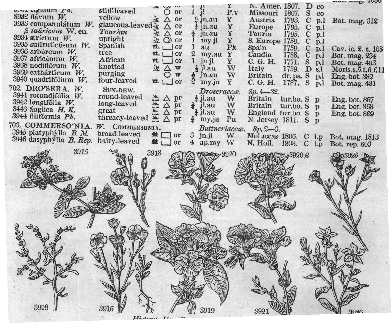 Vent — from Encyclopedia of Plants (1910)