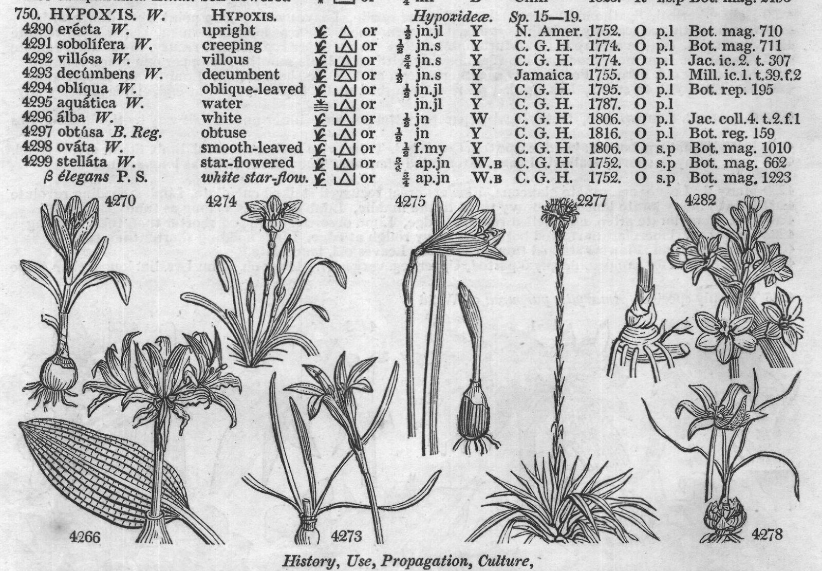 Bot (Rep aqu tica W water or jn jl) — from Encyclopedia of Plants (1910)