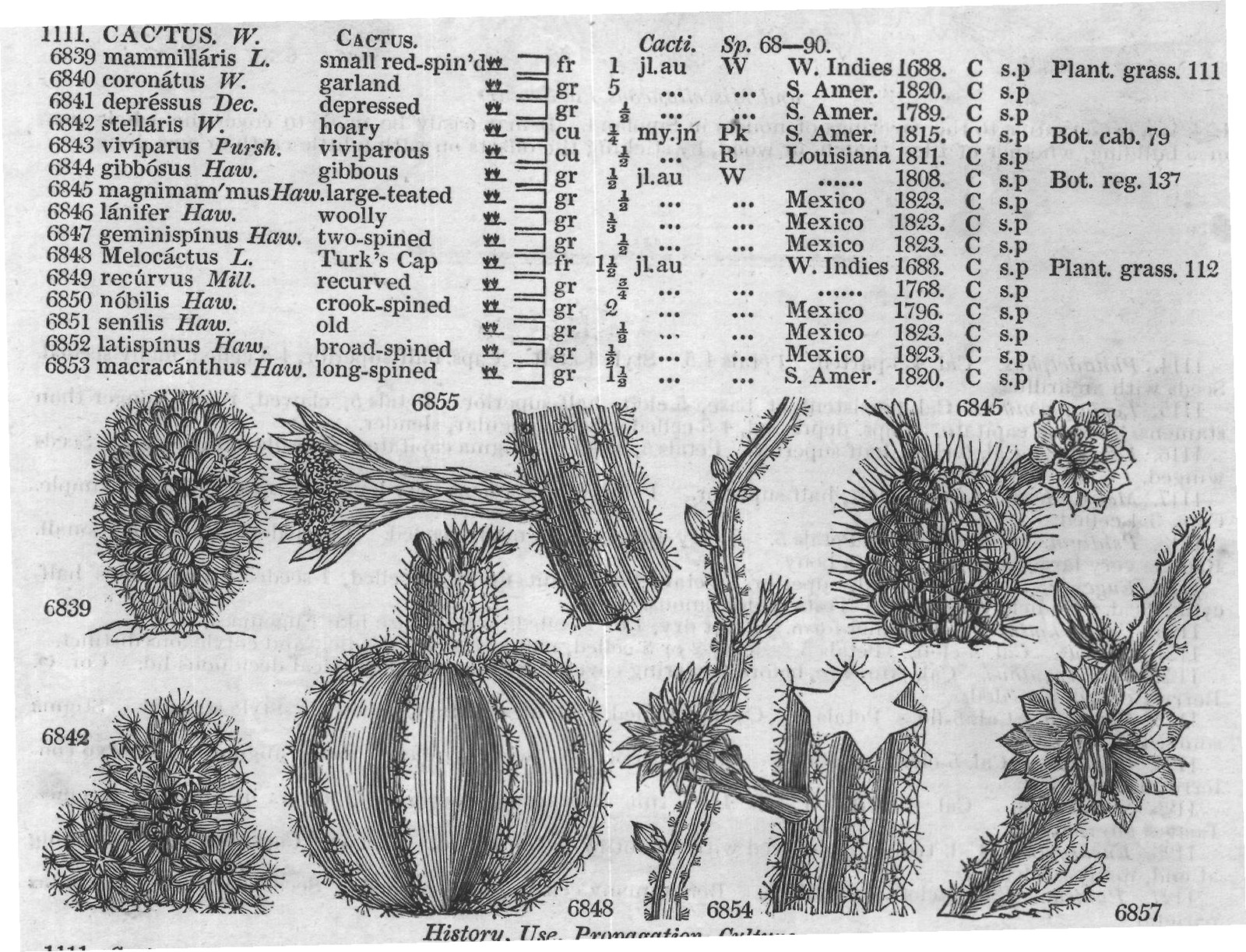 Class XII — from Encyclopedia of Plants (1910)