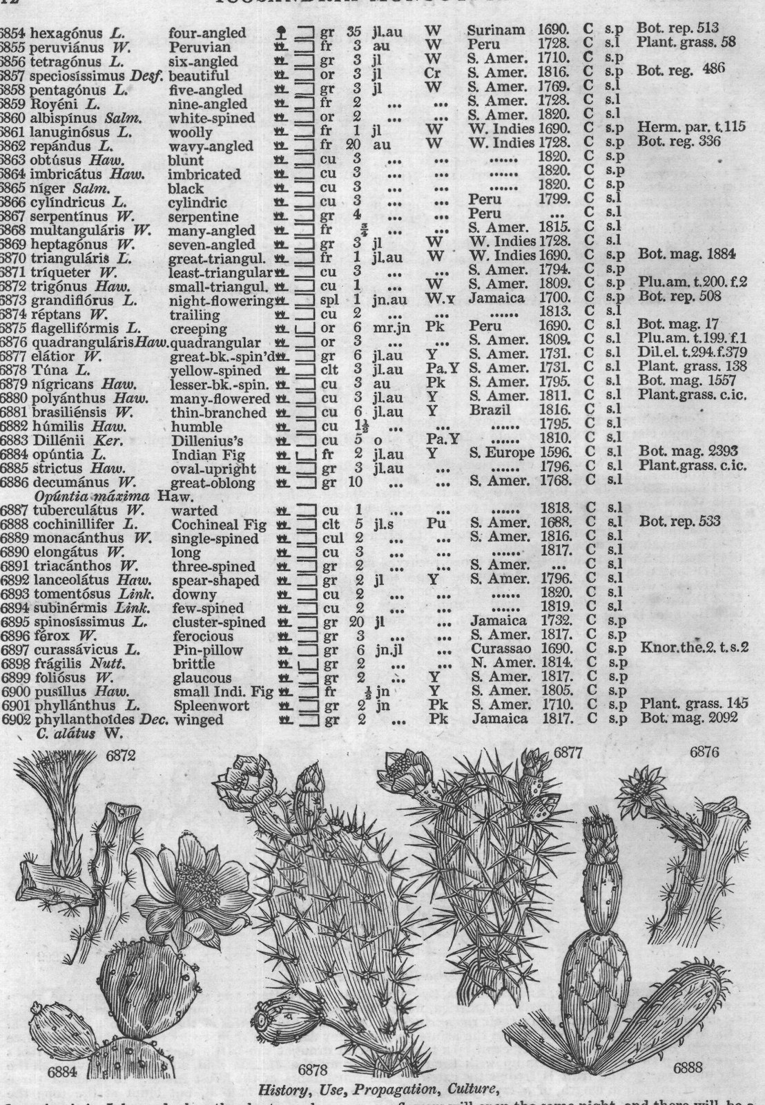 History, Use, Propagation, Culture,