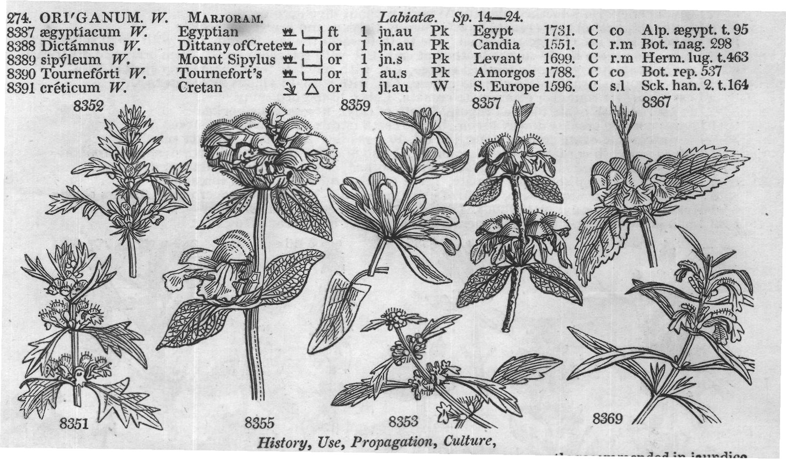 Mur — from Encyclopedia of Plants (1910)