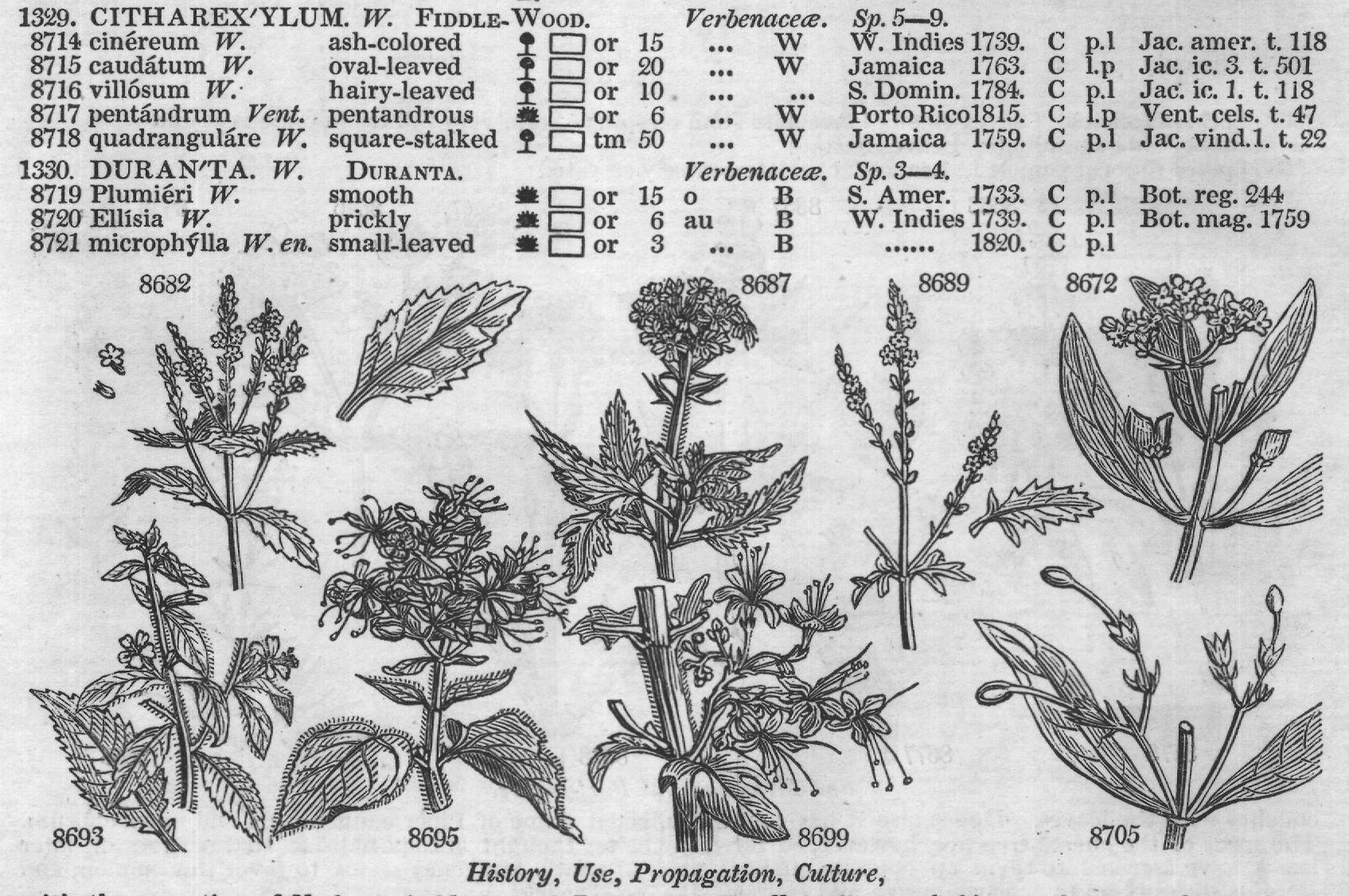 Osb — from Encyclopedia of Plants (1910)