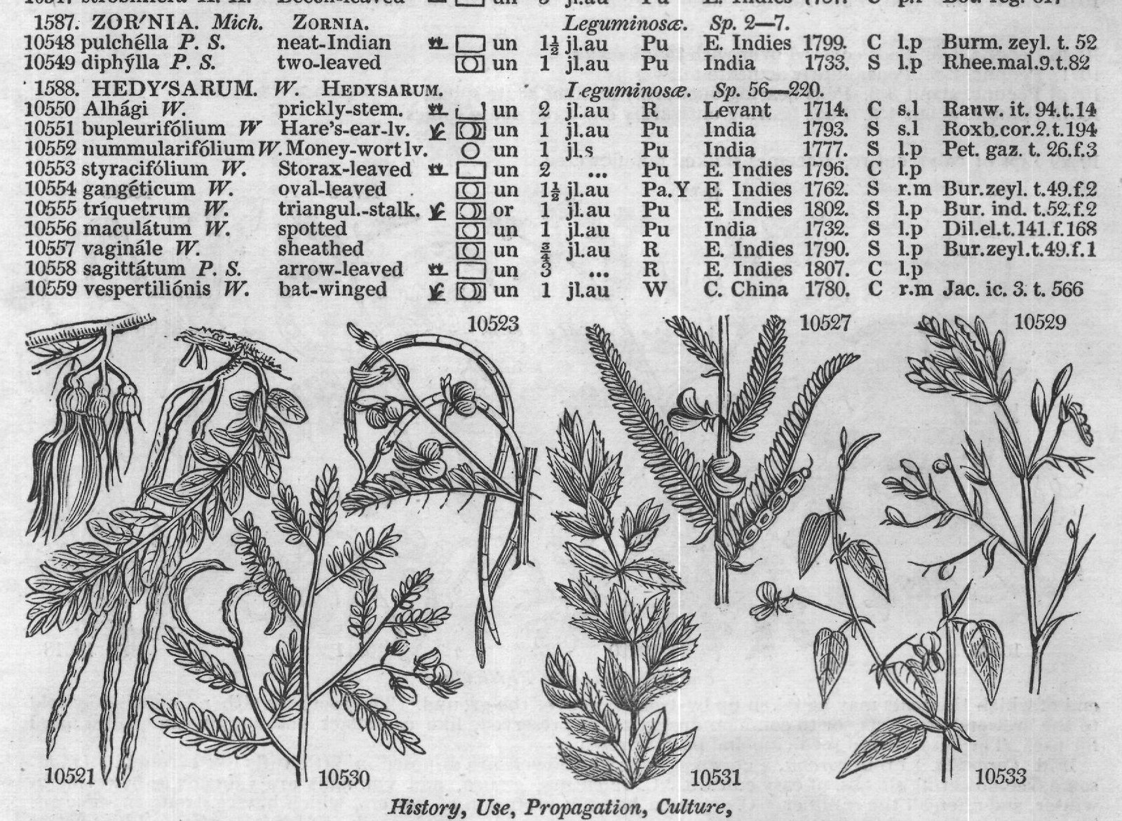 Cav (Ic t Mor hi t f Lam ill t f) — from Encyclopedia of Plants (1910)