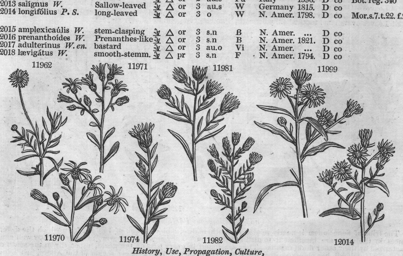 Hort — from Encyclopedia of Plants (1910)