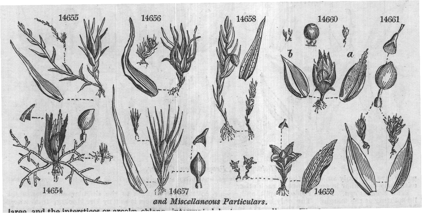 and Miscellaneous Particulars.