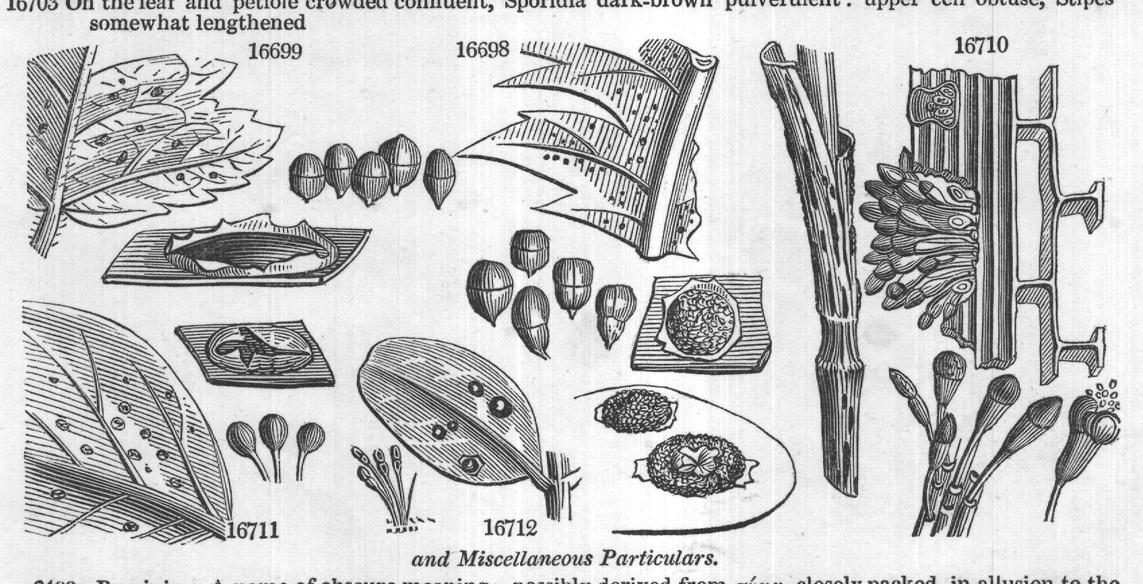 and Miscellaneous Particulars.