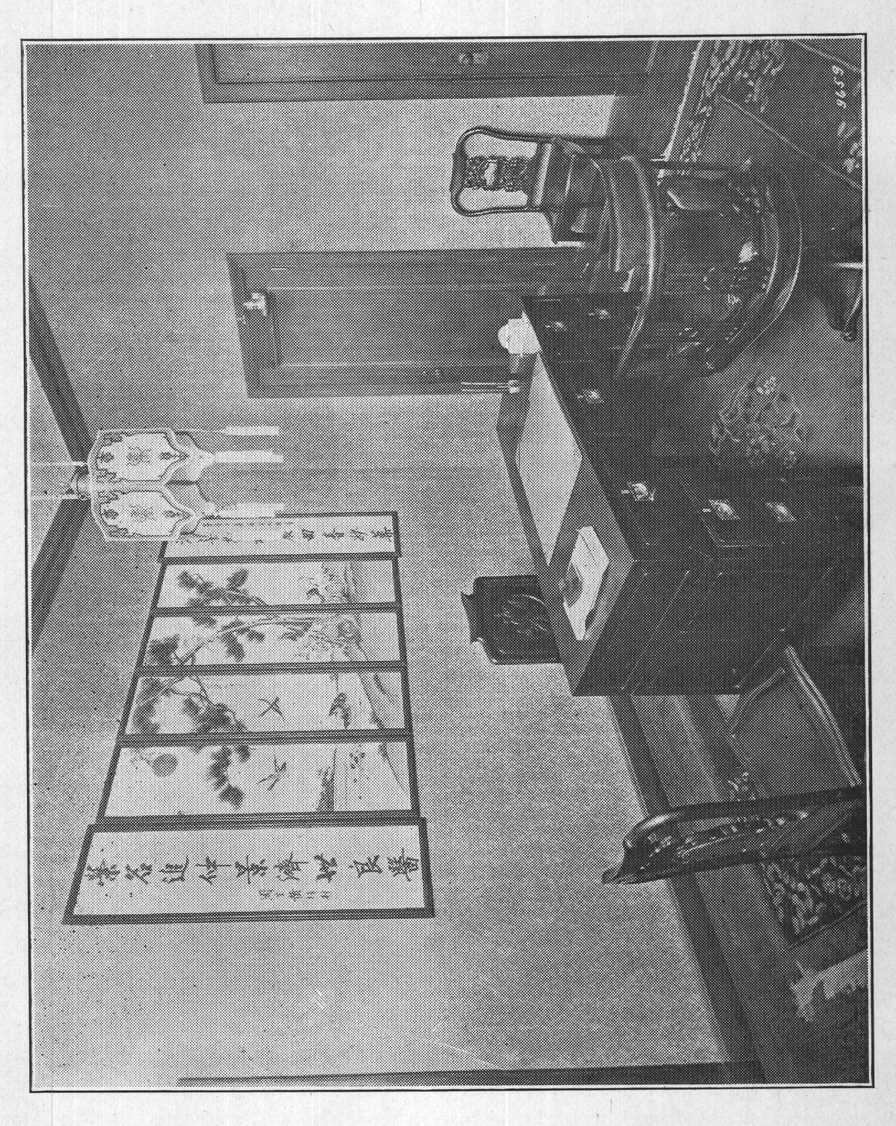 Home of the Fong Wan Herb Co — from Herb Lore (1927)
