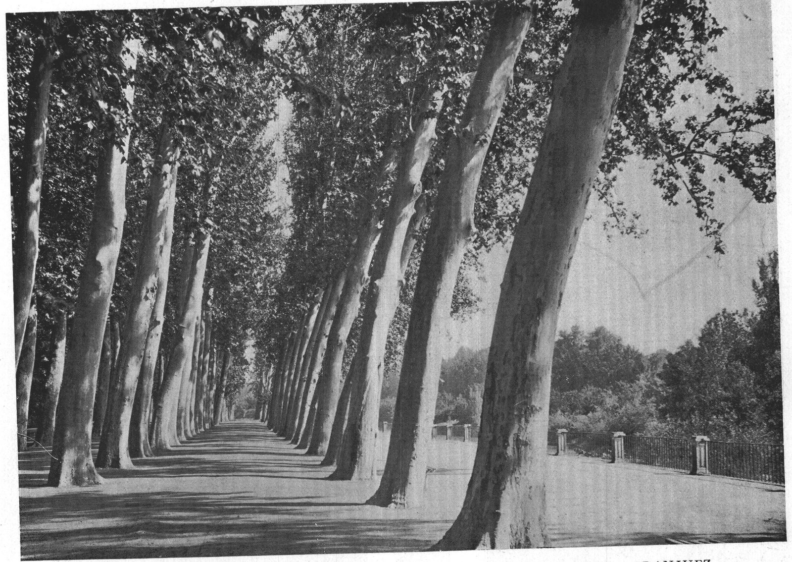 The Salon de los Reyes Catolicos in the Island Garden — Aranjuez