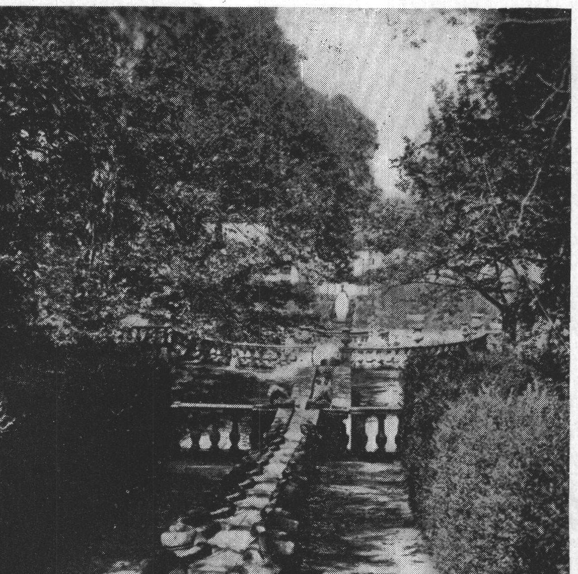 A Water-Course of the Upper Terrace