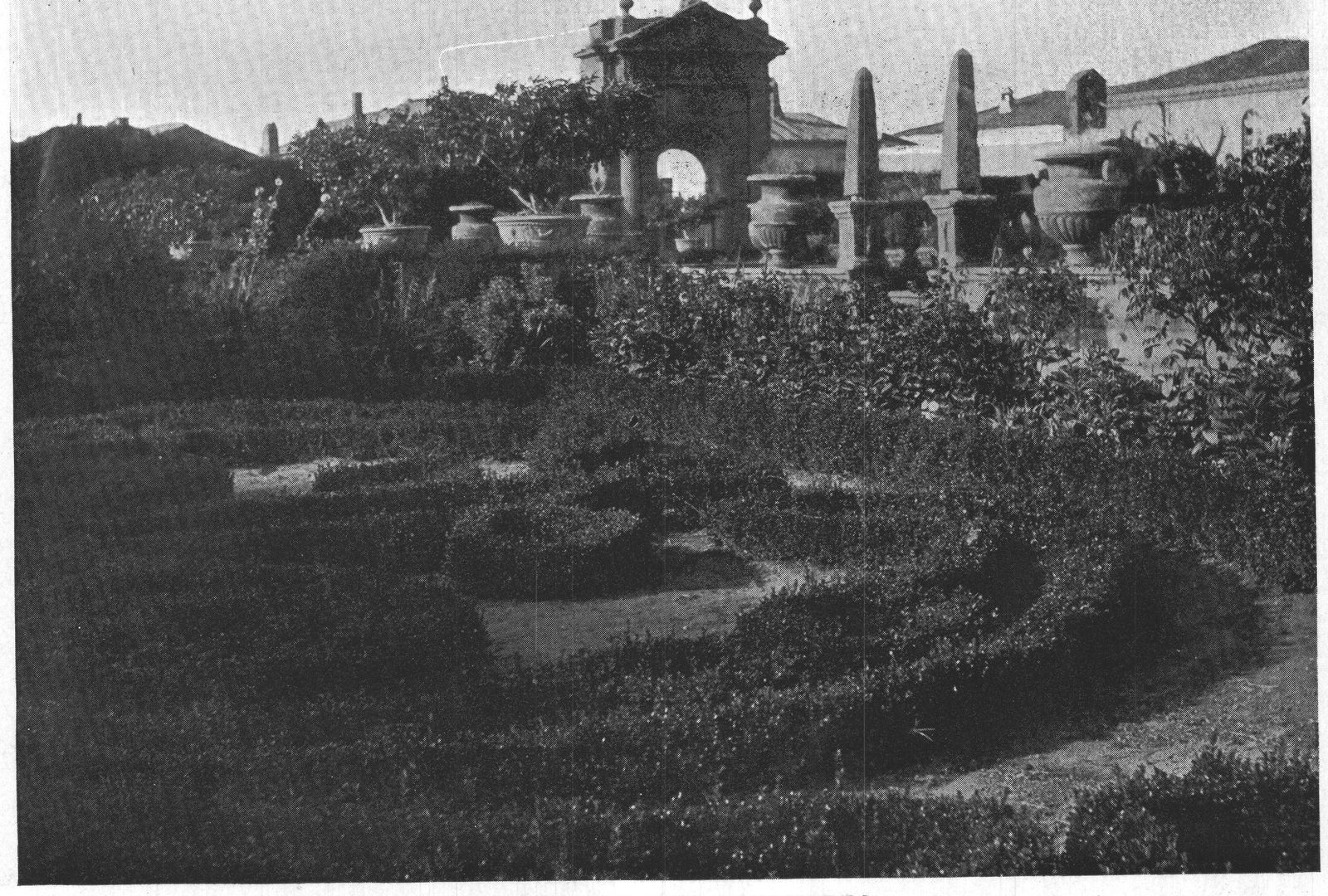 Hedges of the Parterres