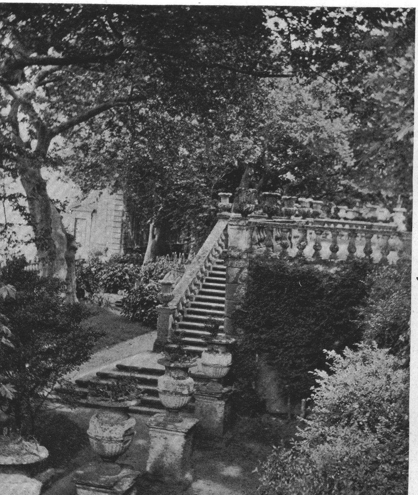 An Ascent to the Upper Terrace