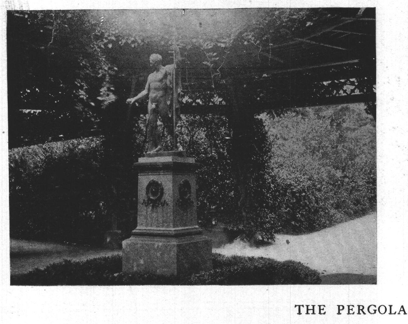 The Pergola at Miramar