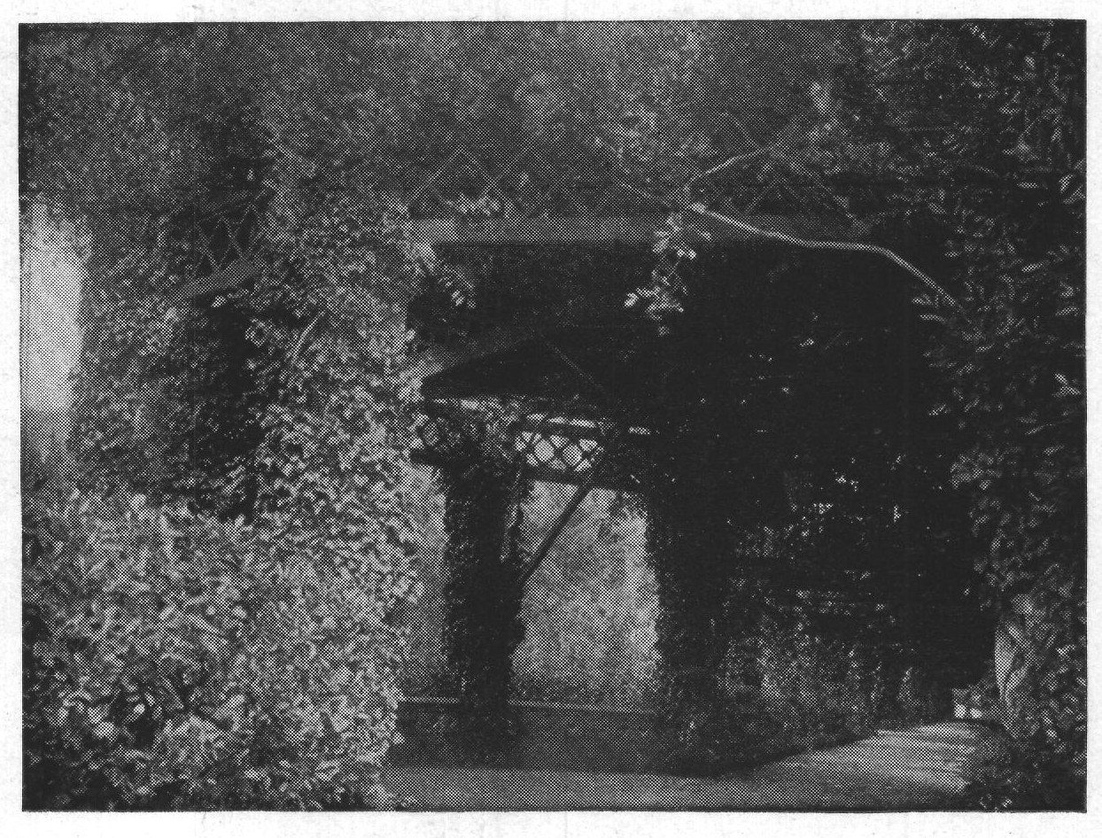 The Pergola at Miramar
