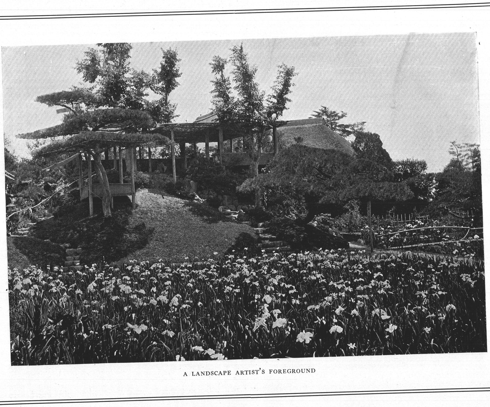A Landscape Artist's Foreground — The Iris Garden at Horikiri