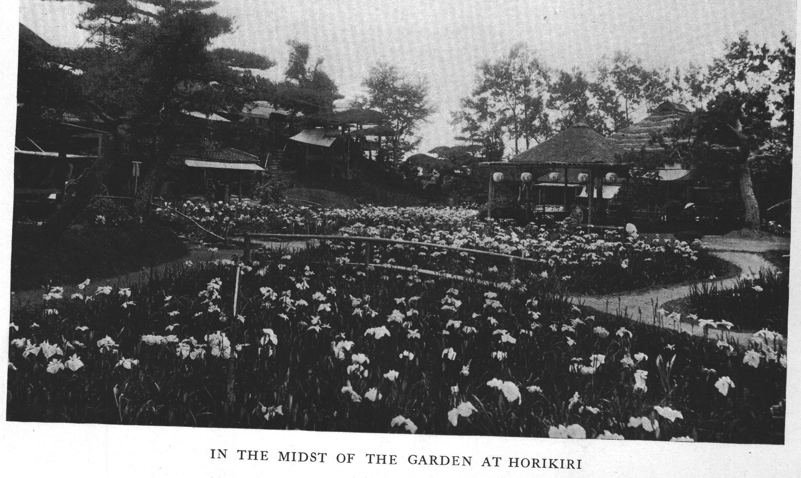 In the Midst of the Garden at Horikiri