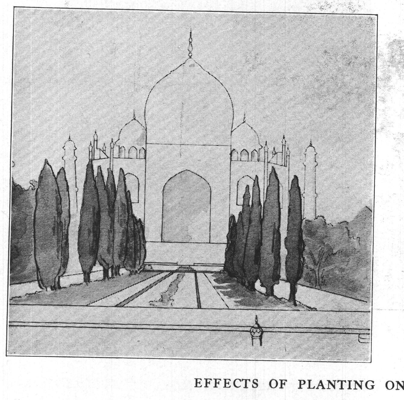 Effects of Planting on Outer and Inner Lines