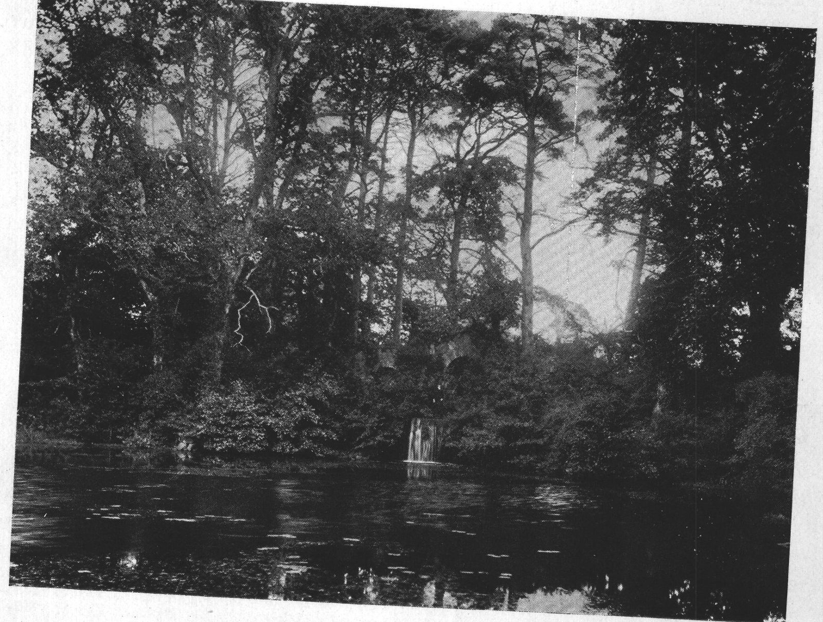 The Waterfall