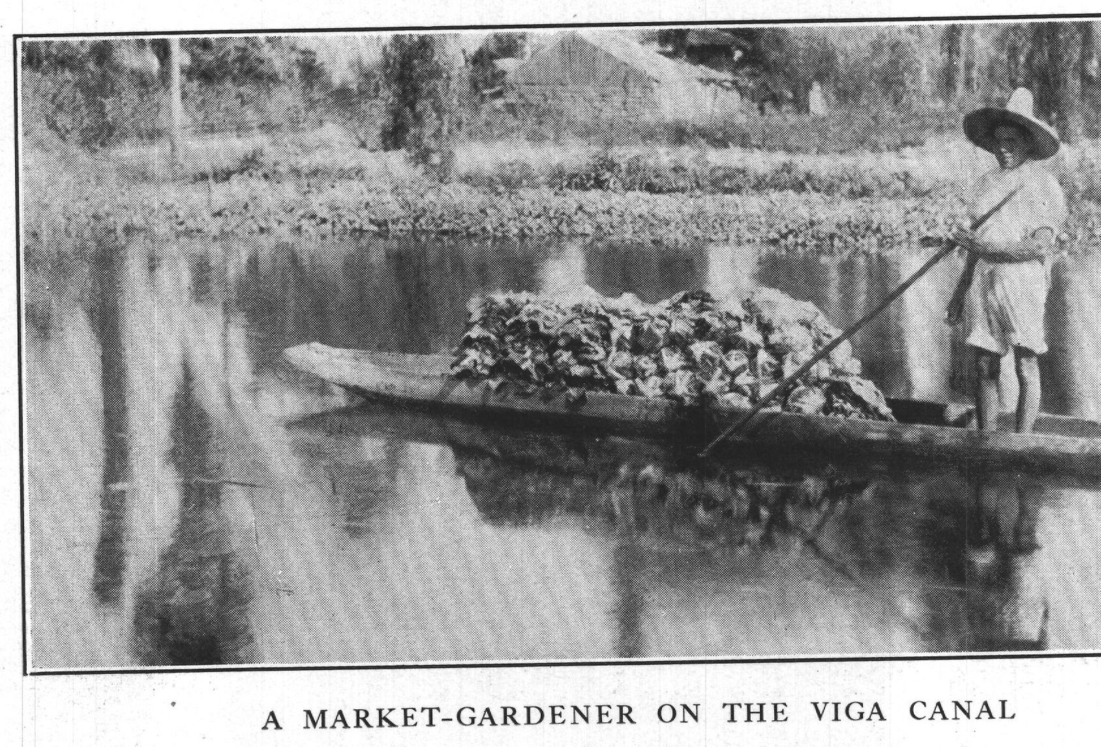 A Market-Gardener on the Viga Canal