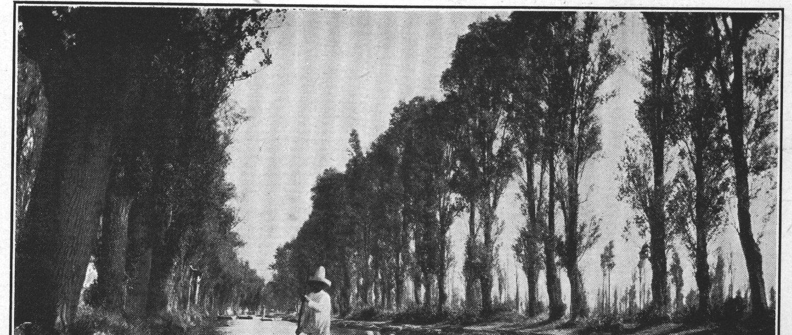 The Viga Canal