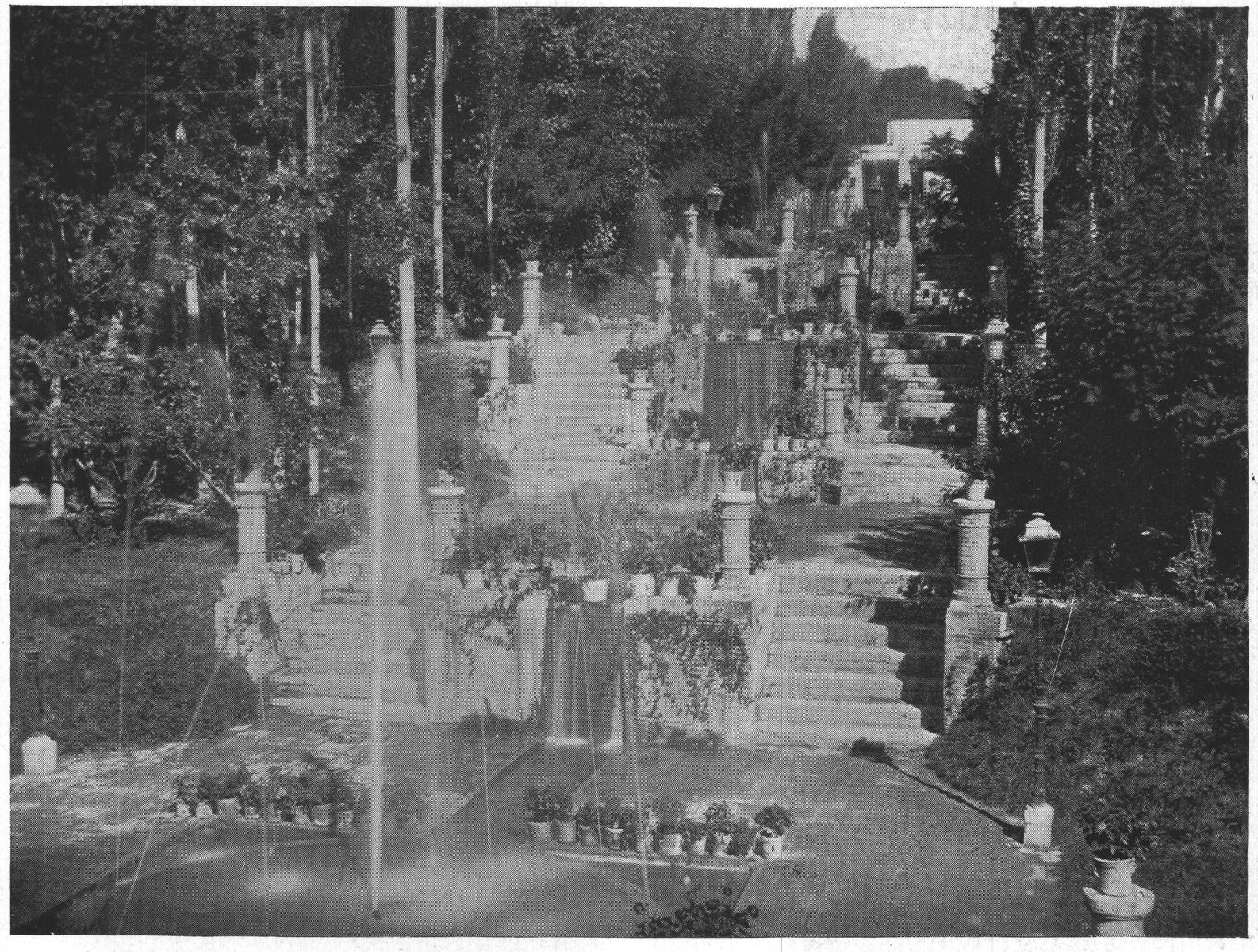 In the Camranieh Gardens