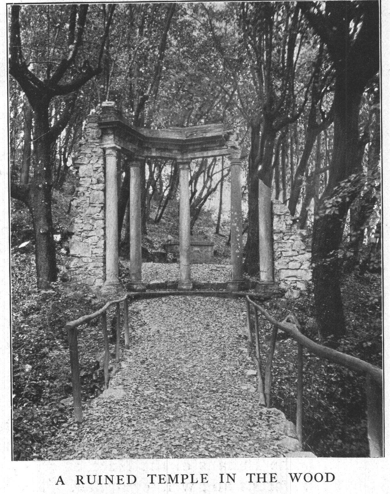 A Ruined Temple in the Wood