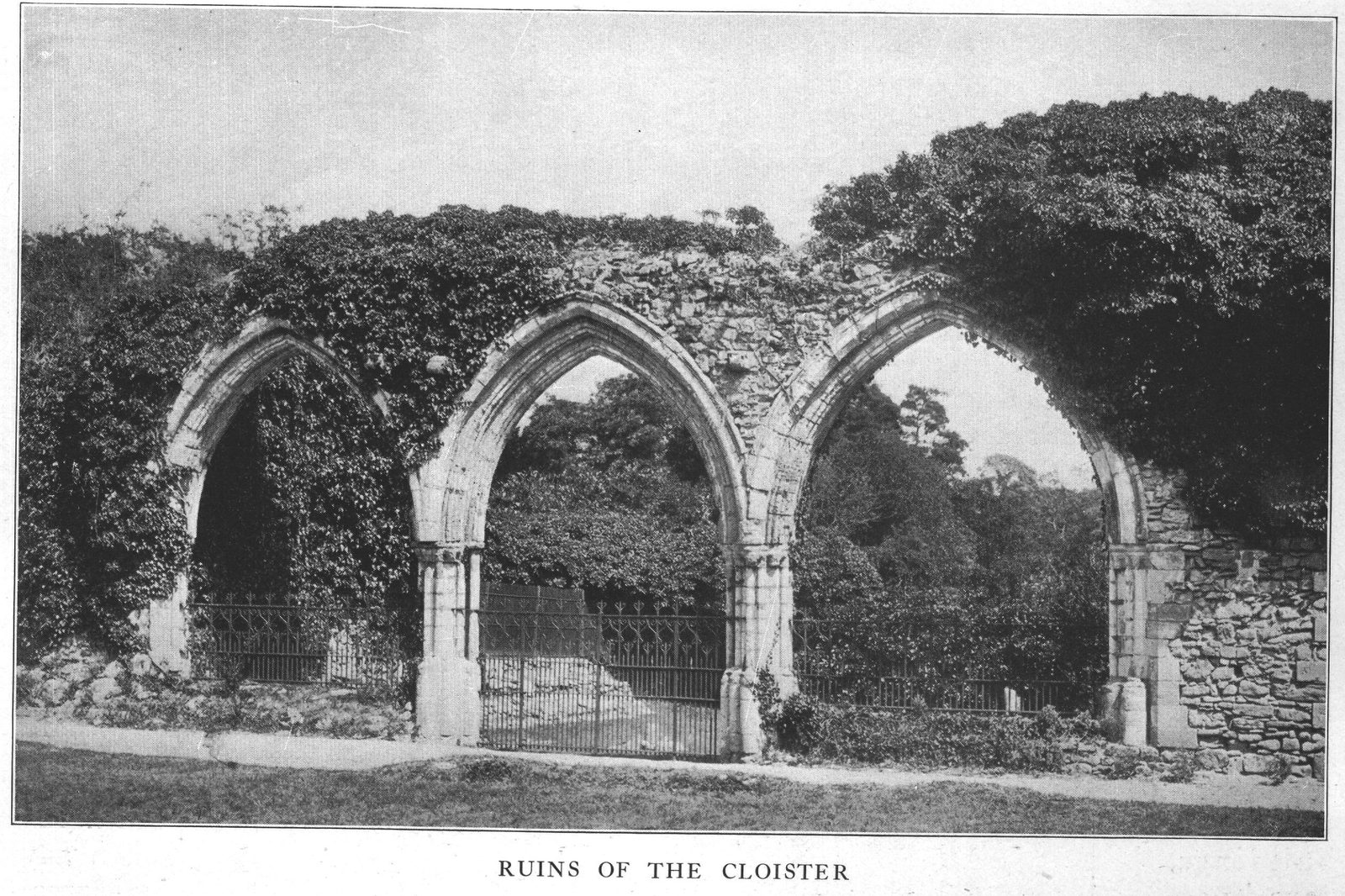 Ruins of the Cloister — Beaulieu Abbey