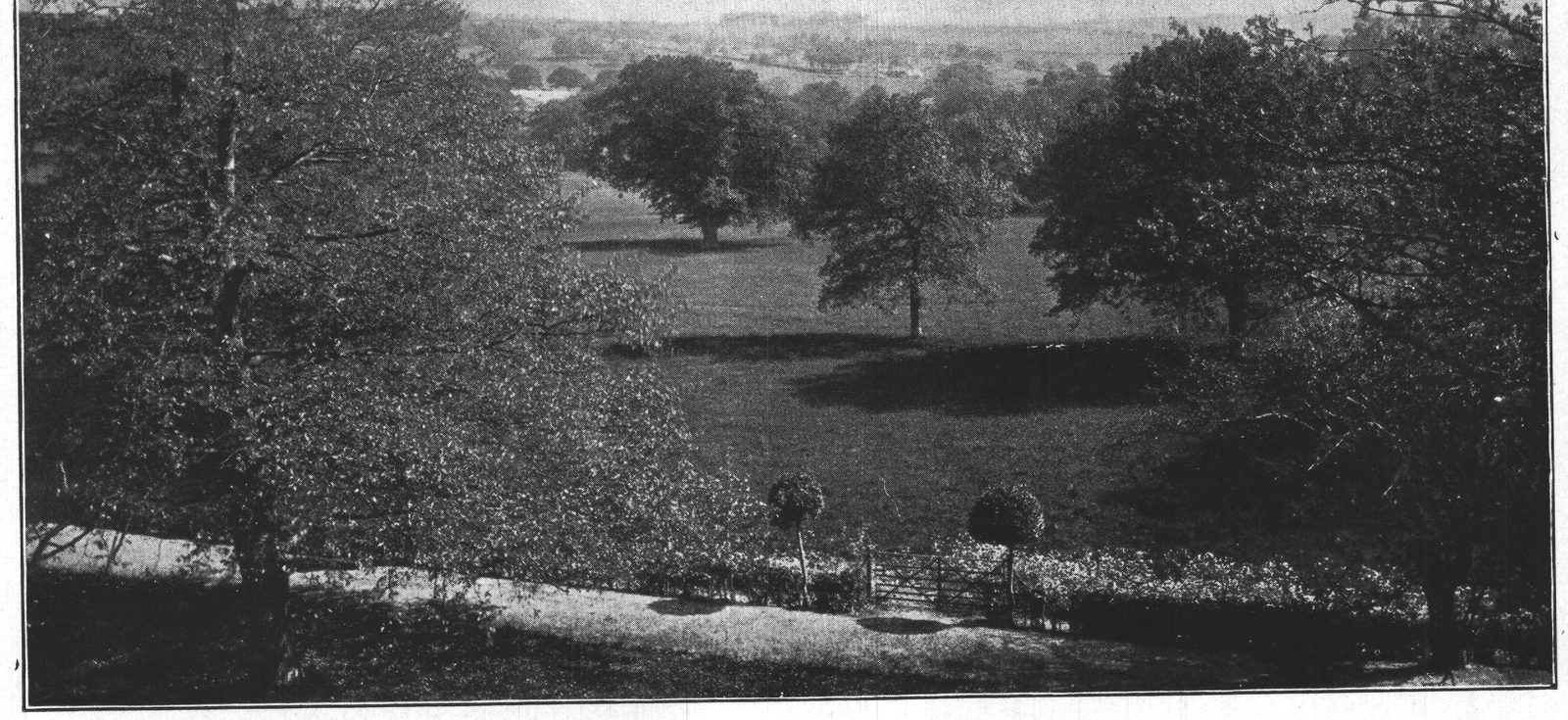 Telham Hill and the Battle Field