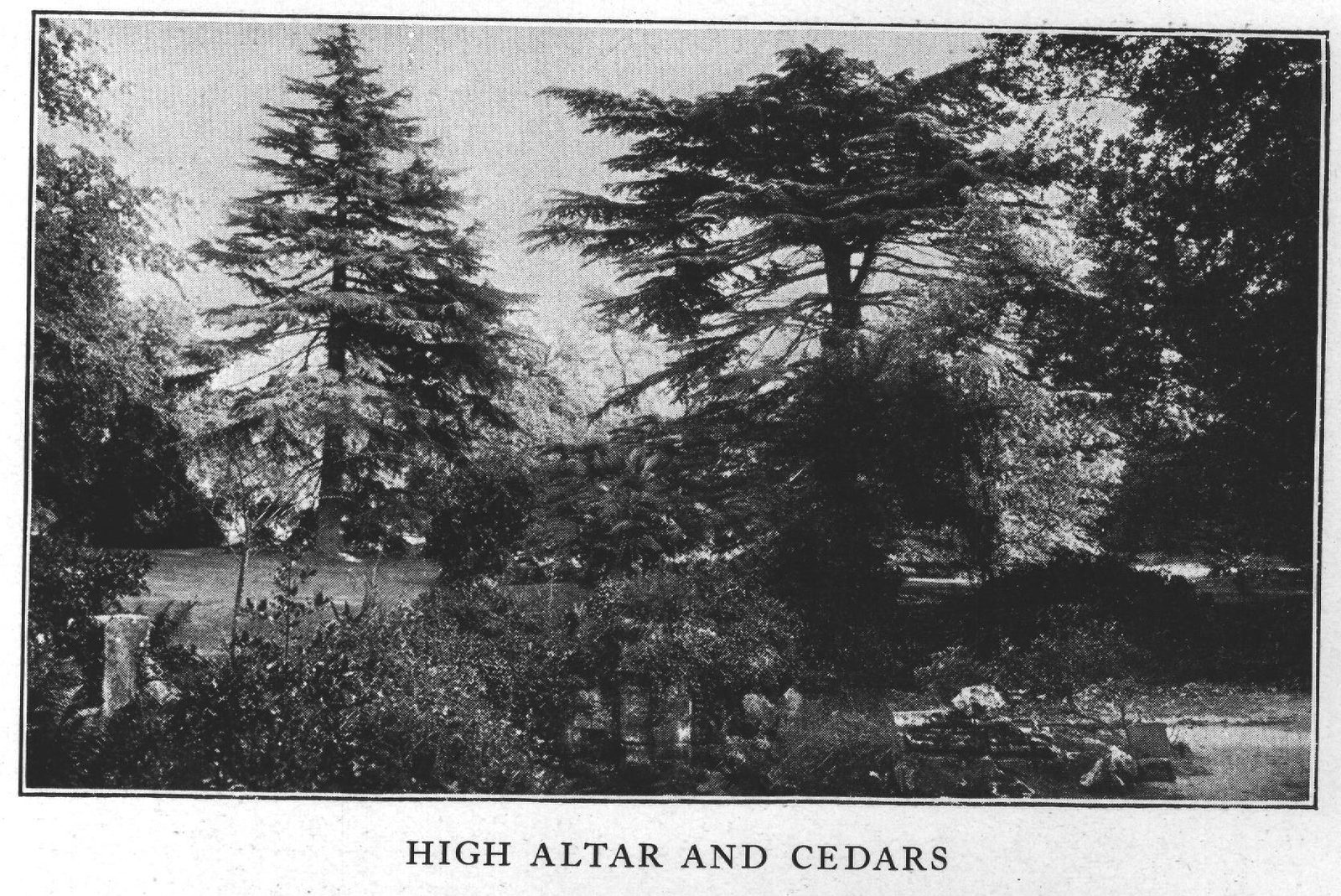 High Altar and Cedars