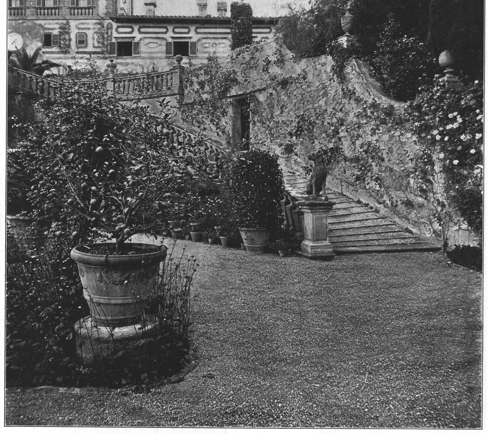 The Mule Steps Ascending from the Walled-In Garden
