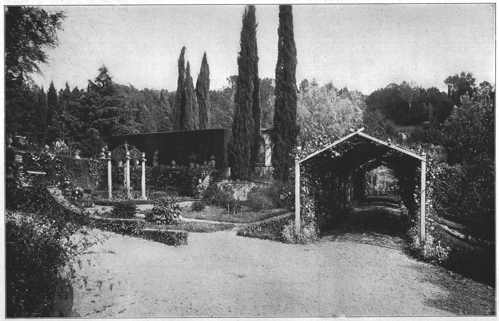 The Pergola Leading to the Pool — Palmieri