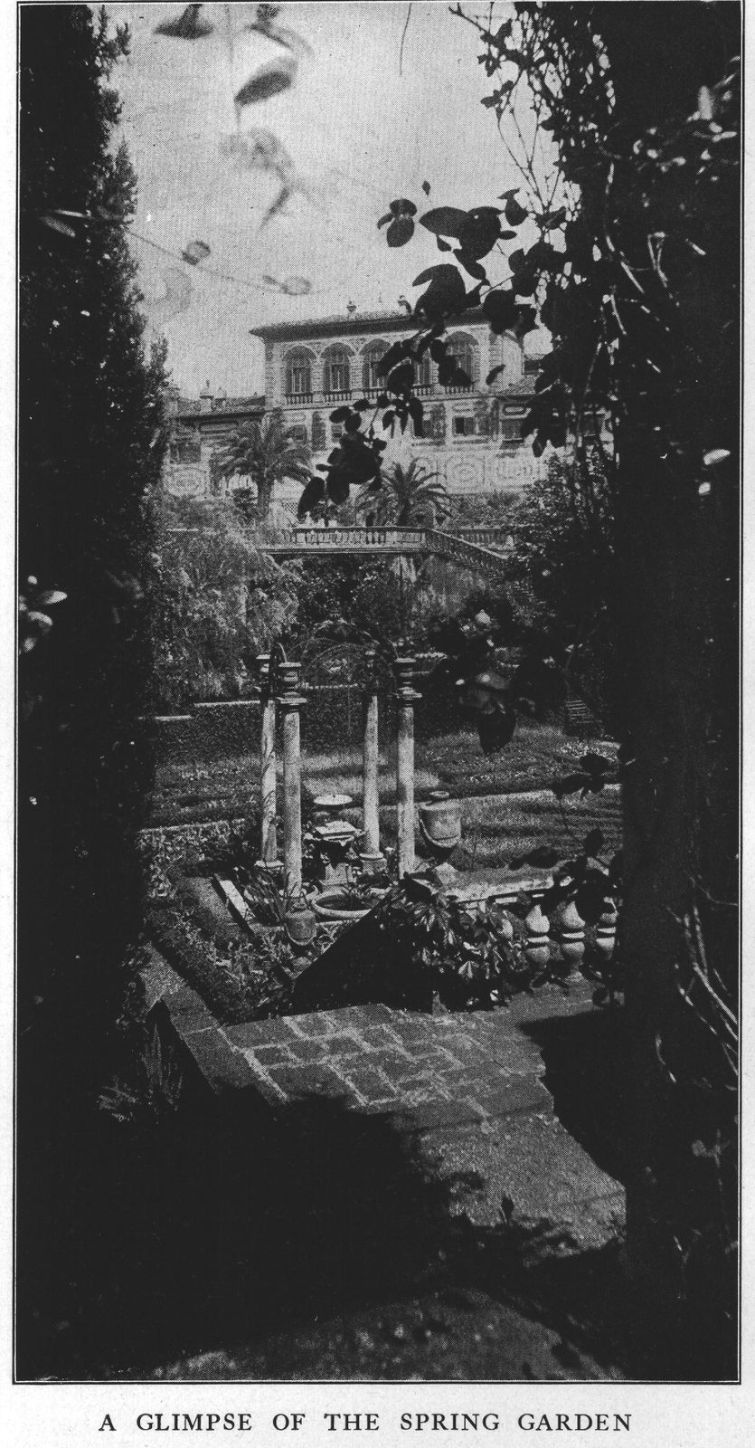 A Glimpse of the Spring Garden