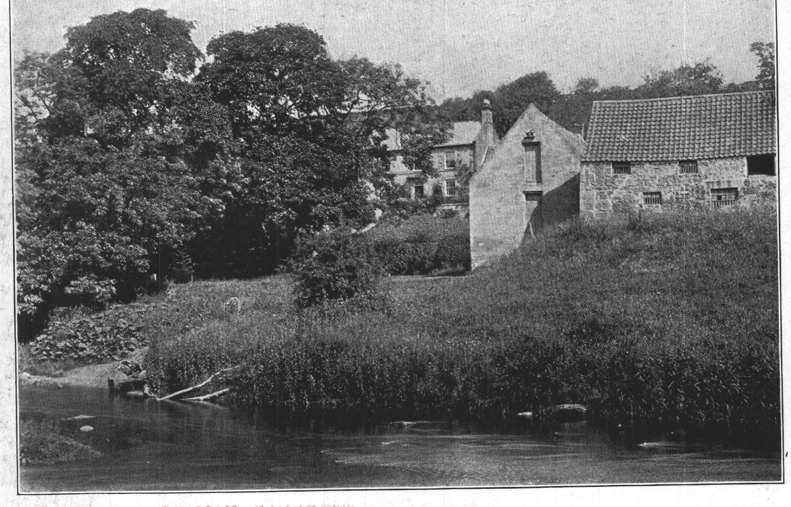 Bothal Mill