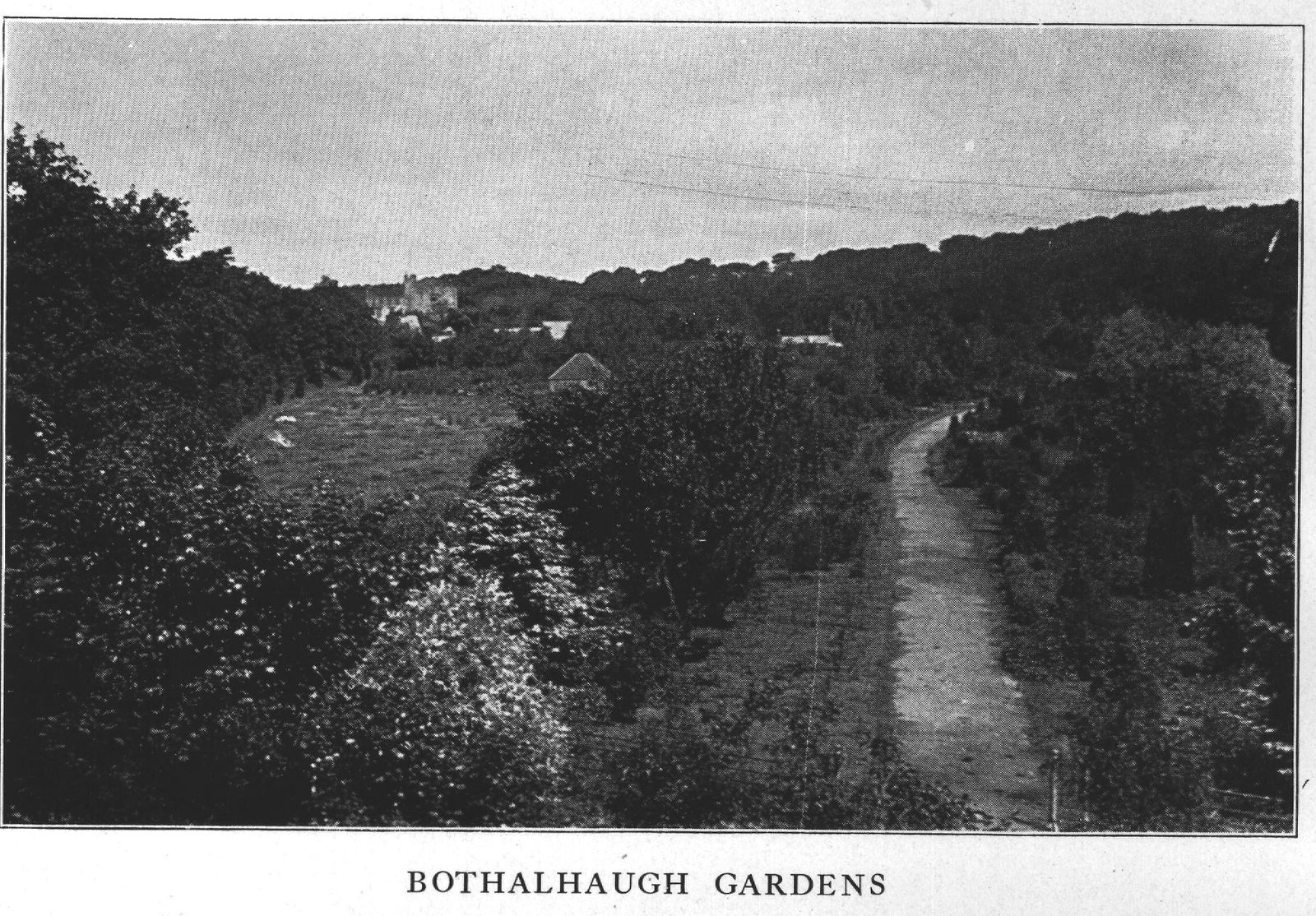 Bothalhaugh Gardens