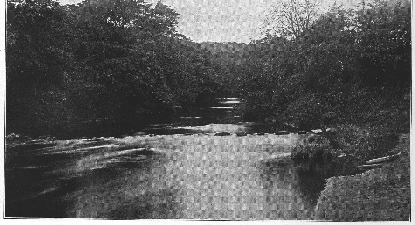 Stepping Stones on the River