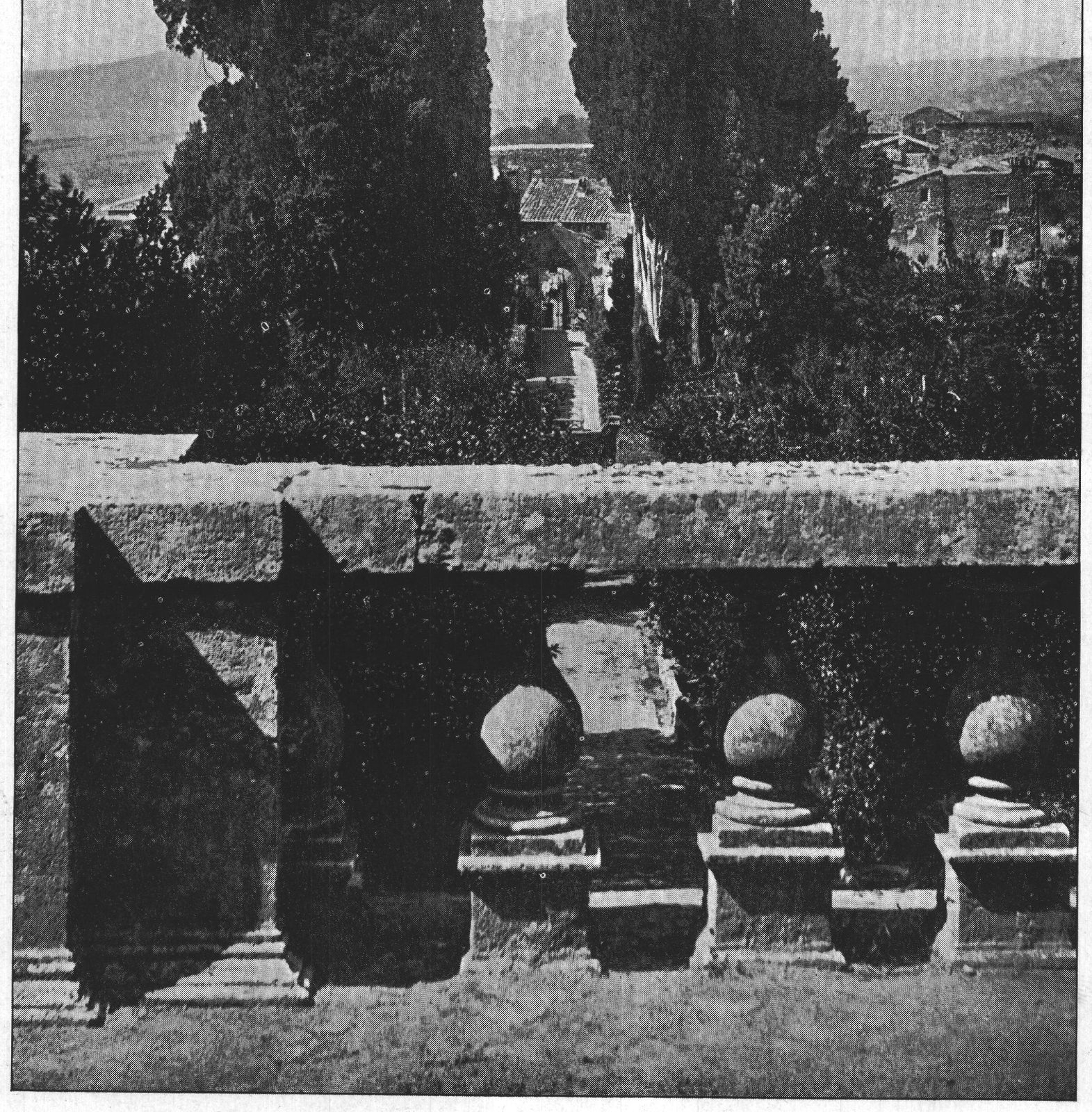 Cypresses, Villa d'Este