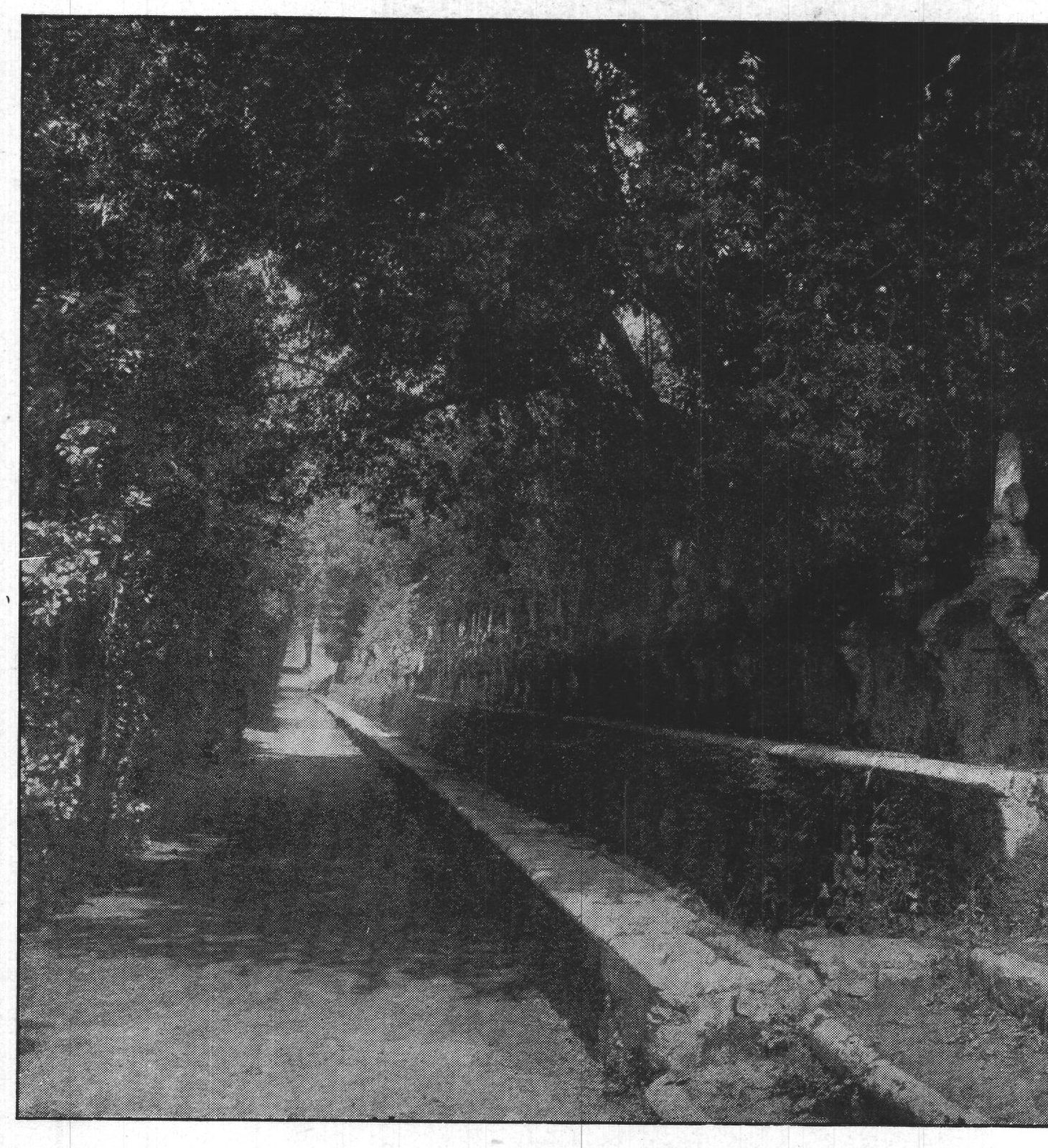 The Allée of the Hundred Fountains