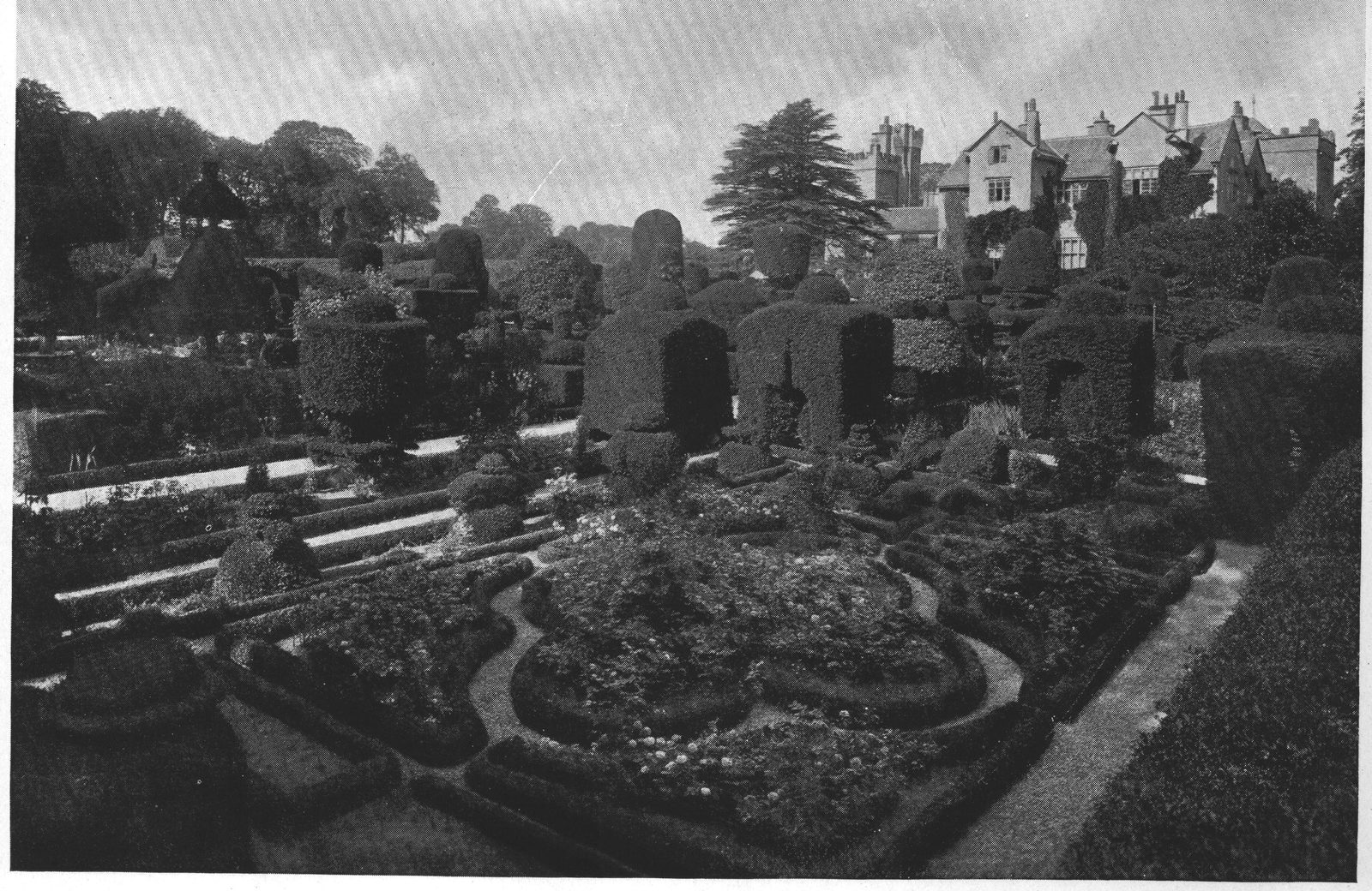 The Box and Yew Gardens