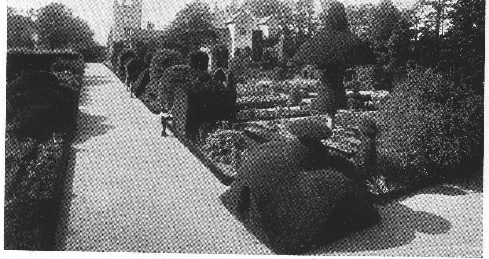The Walk Separating the Orchard and the Topiary Garden — Levens Hall