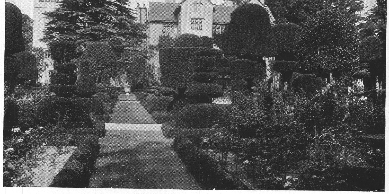 The House from the Gardens