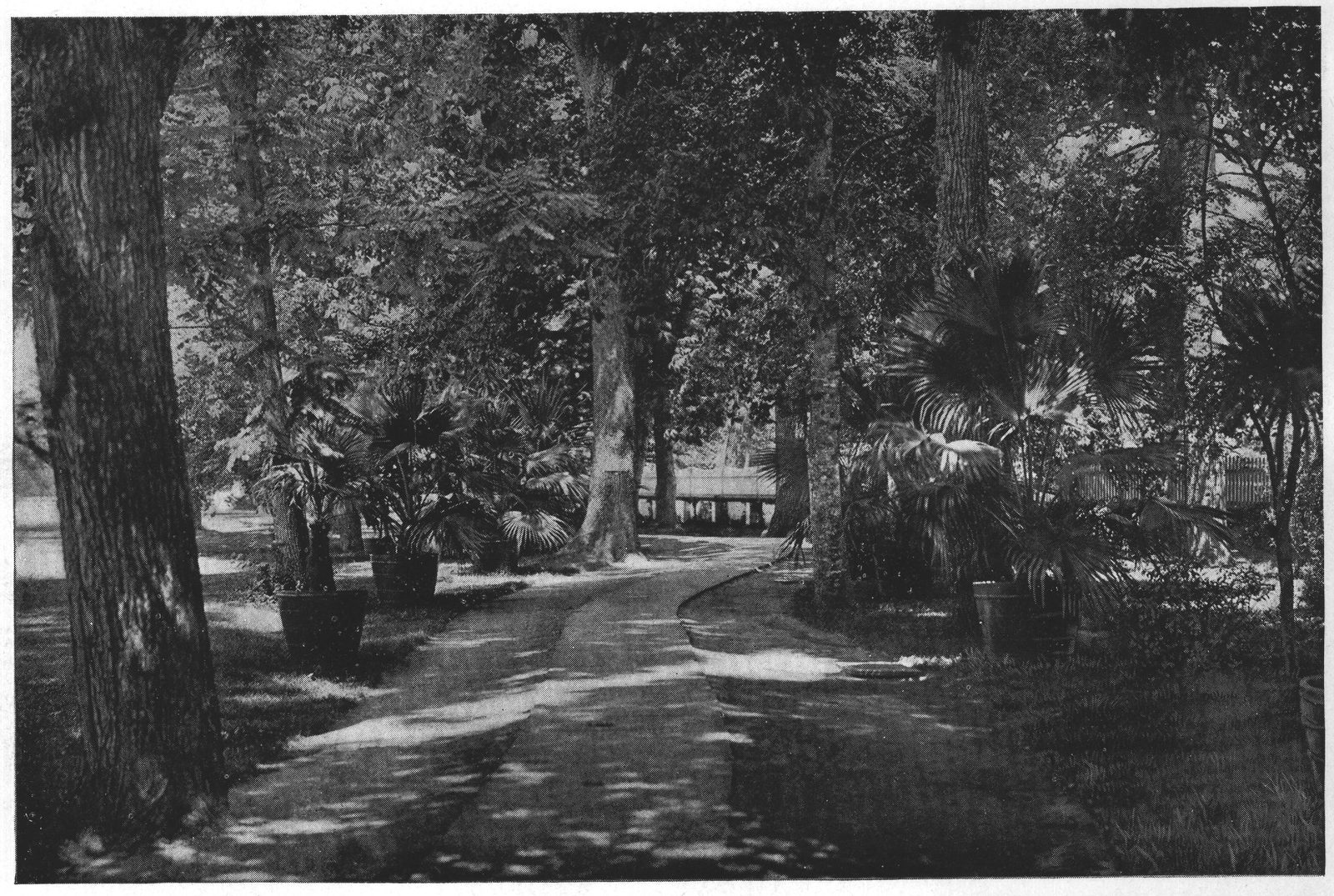 The Walk Around the West Lawn