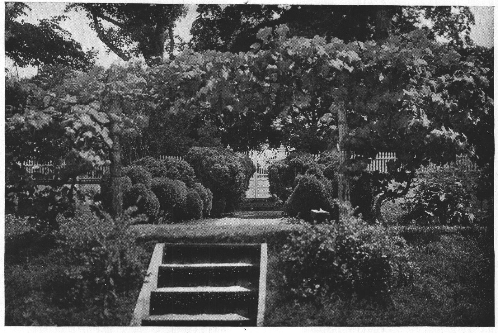 In the Kitchen-Garden — Mount Vernon