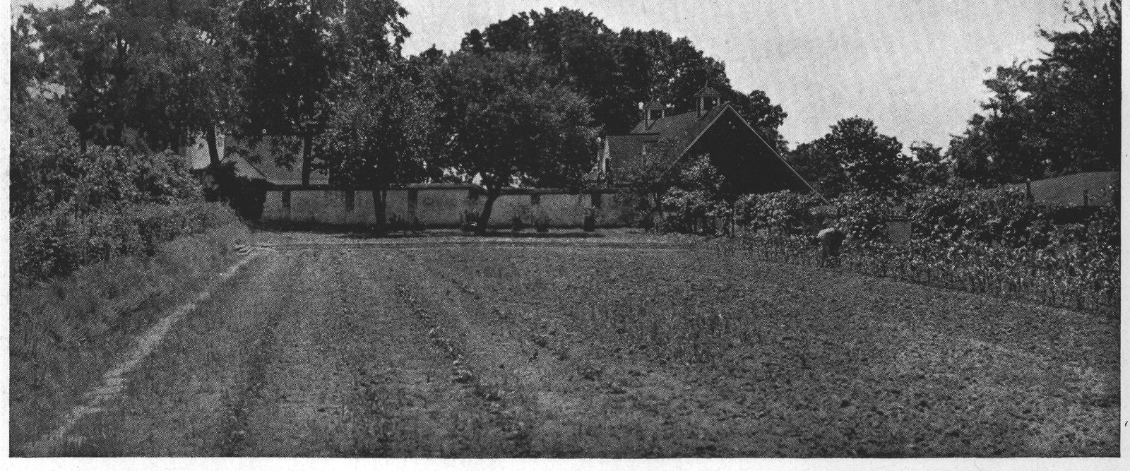 The Kitchen-Garden